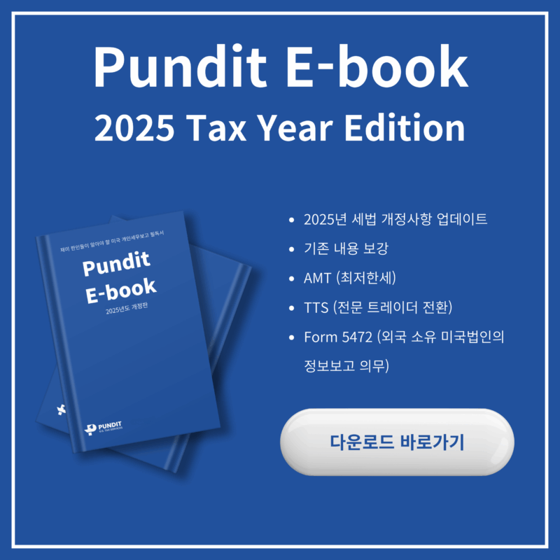 pundit ebook 2025